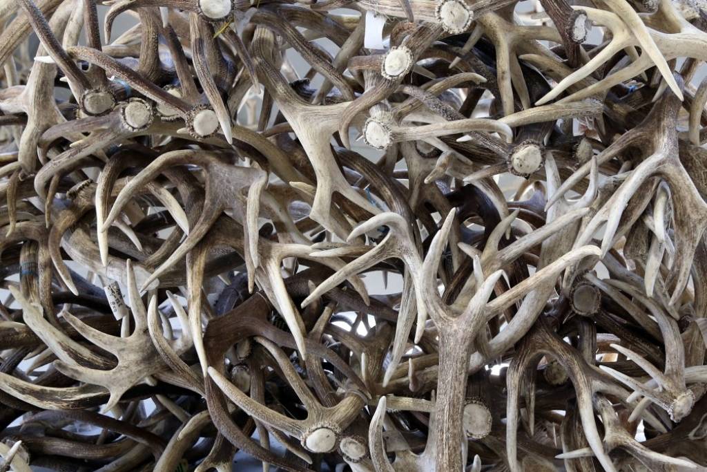 Kas tev jāzina 2. jūnijā