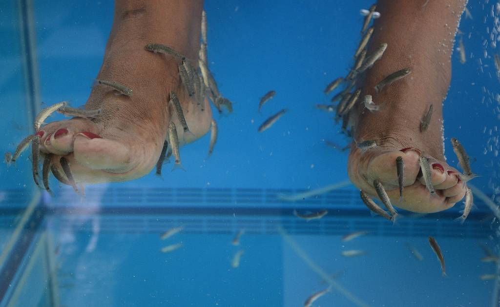 Palangā veidos dziednīcu kompleksu par 50 miljoniem eiro