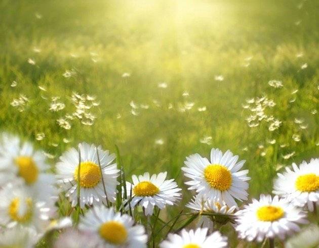 Nedēļas nogalē gaiss iesils līdz plus 25 grādiem