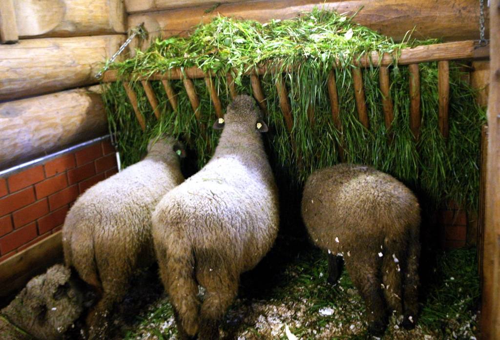 LAD izsludina pieteikšanos atbalstam lauksaimniecībā, mežsaimniecībā un meliorācijā par kopumā 41 miljonu eiro