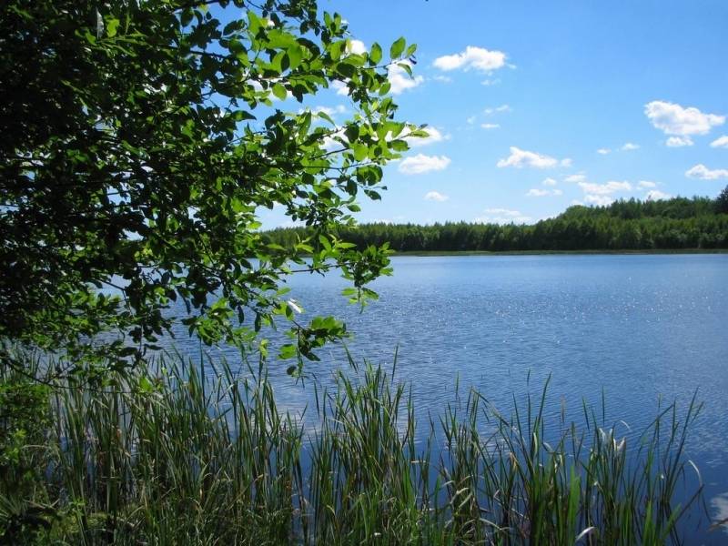 Šodien gaiss iesils līdz plus 26 grādiem, svētdiena jau būs vēsāka