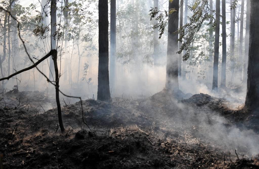 Šodien deguši meži gandrīz deviņu hektāru platībā