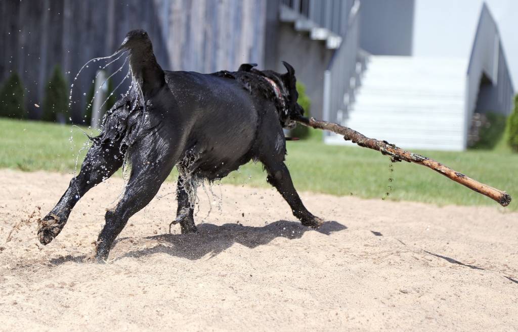 Šodien gaidāms plus 30 grādu karstums