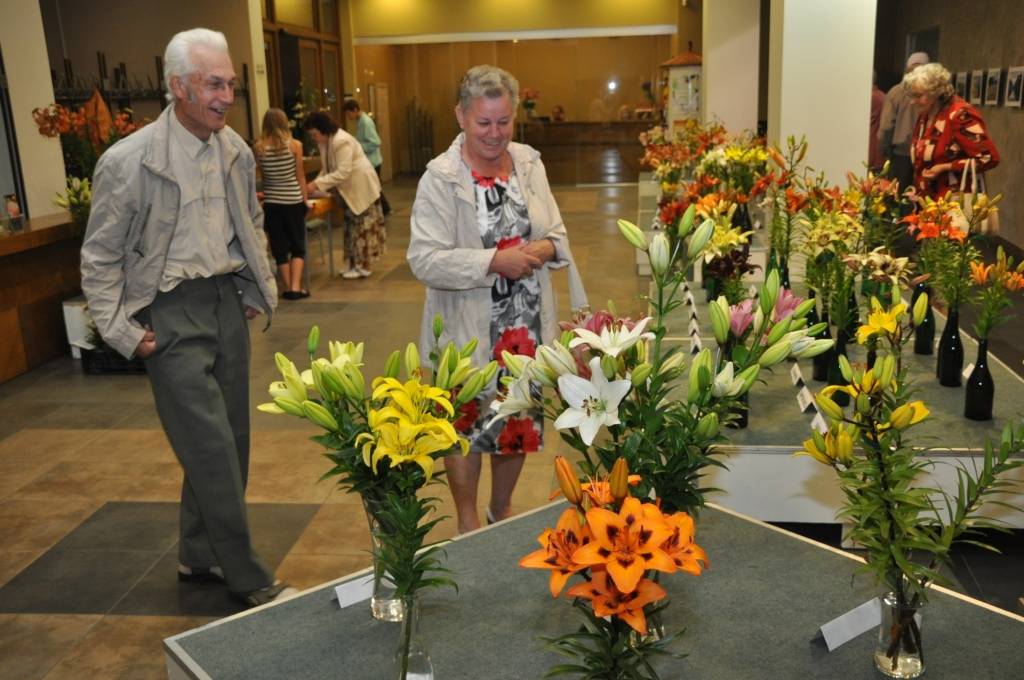 FOTO: Liepājā skatāma krāšņa Liliju ziedu izstāde