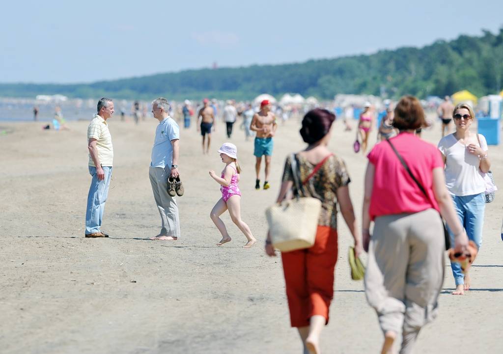 Pludmales krūmiņu režīmā