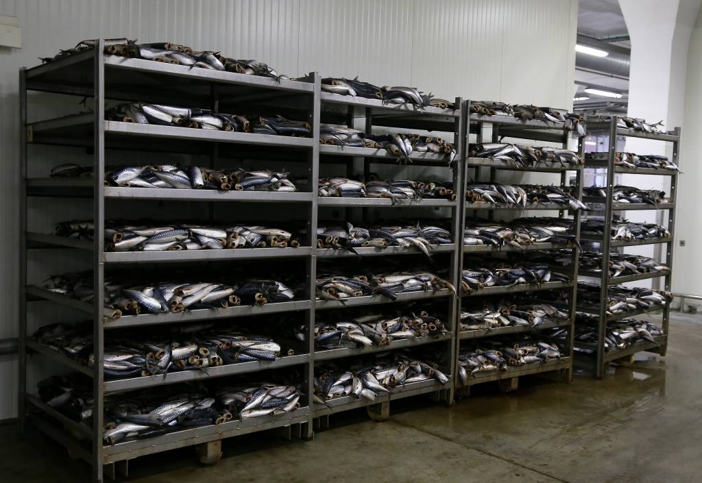 Saistībā ar Krievijas embargo atbalstu varētu saņemt 15 zivju konservu ražotāji