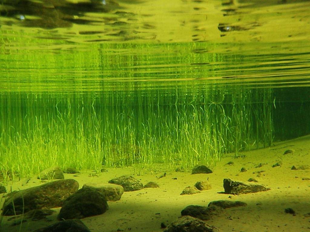 Šogad atrasti jau 60 noslīkušie