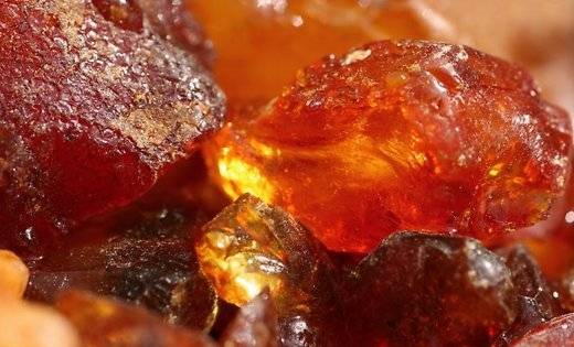 Kurzemes pludmalē pie Liepājas apdedzinās ar viltus dzintaru