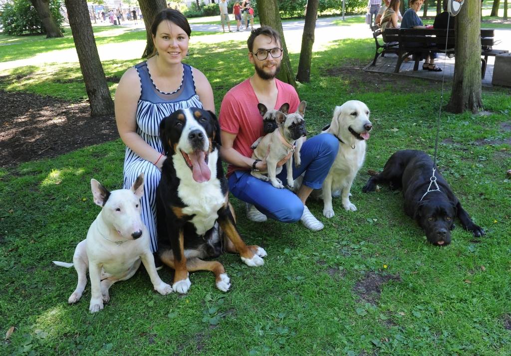 Sākam biznesu: Grib atvieglot  pieteikšanos suņu izstādēm 