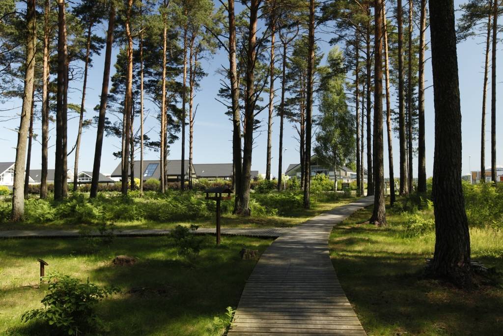 Salienas mežaparkā ieguldīs 300 000 eiro 