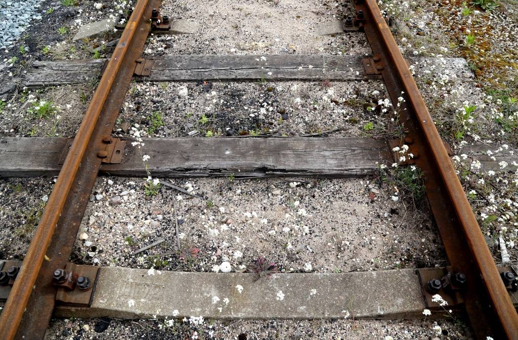 Rail Baltica projektā vēl jātiek skaidrībā par naudas plūsmu kontroli