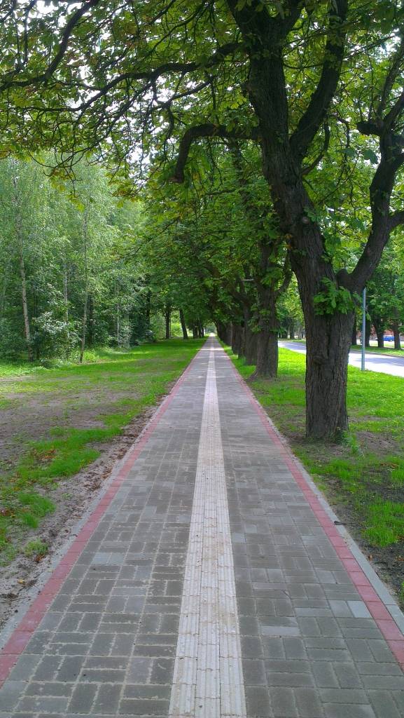 Pieņem ekspluatācijā Zemgales un Virssardzes ielas uzņēmējdarbības publiskās infrastruktūras būvdarbus