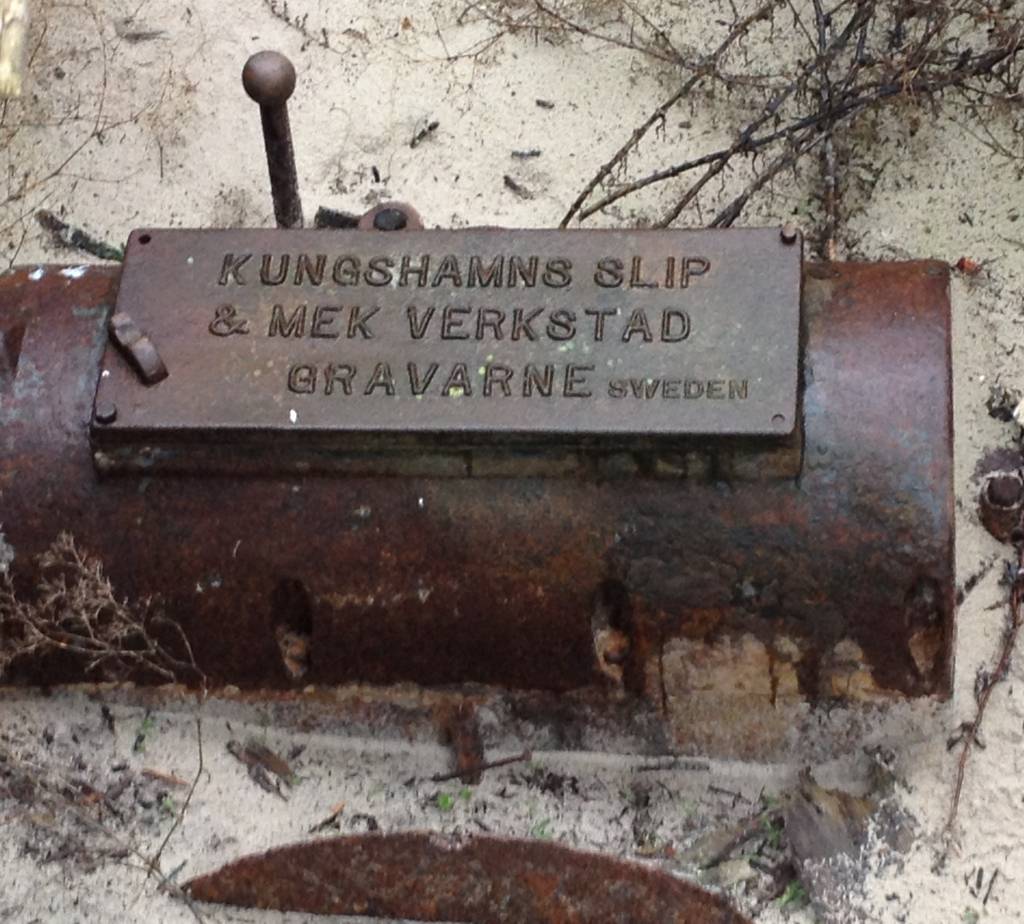 Piedāvā iepazīt Jūrmalciema dabu