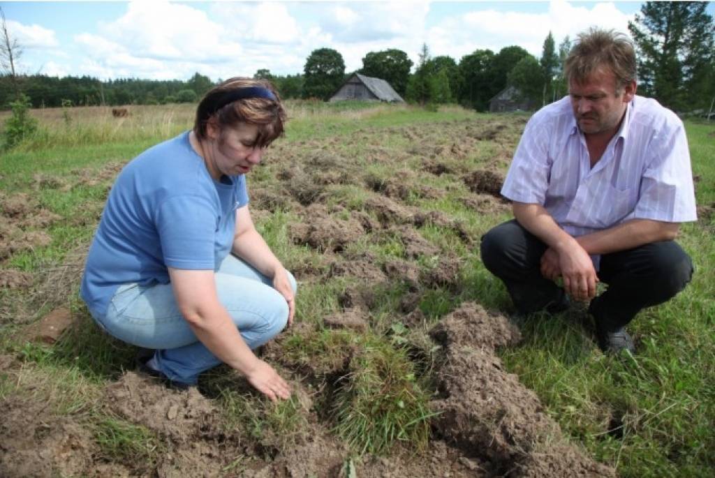 Laucinieki jūtas bezpalīdzīgi 