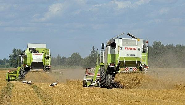 Agronoms: Joprojām spēkā ziemāju rekordražas prognoze; no hektāra 25% vairāk nekā pērn