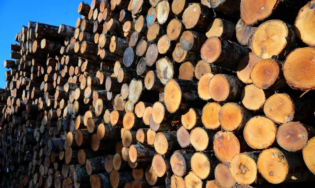 11 mežizstrādes uzņēmumi par vienošanos iepirkumā saņem 70 tūkstošu eiro sodu