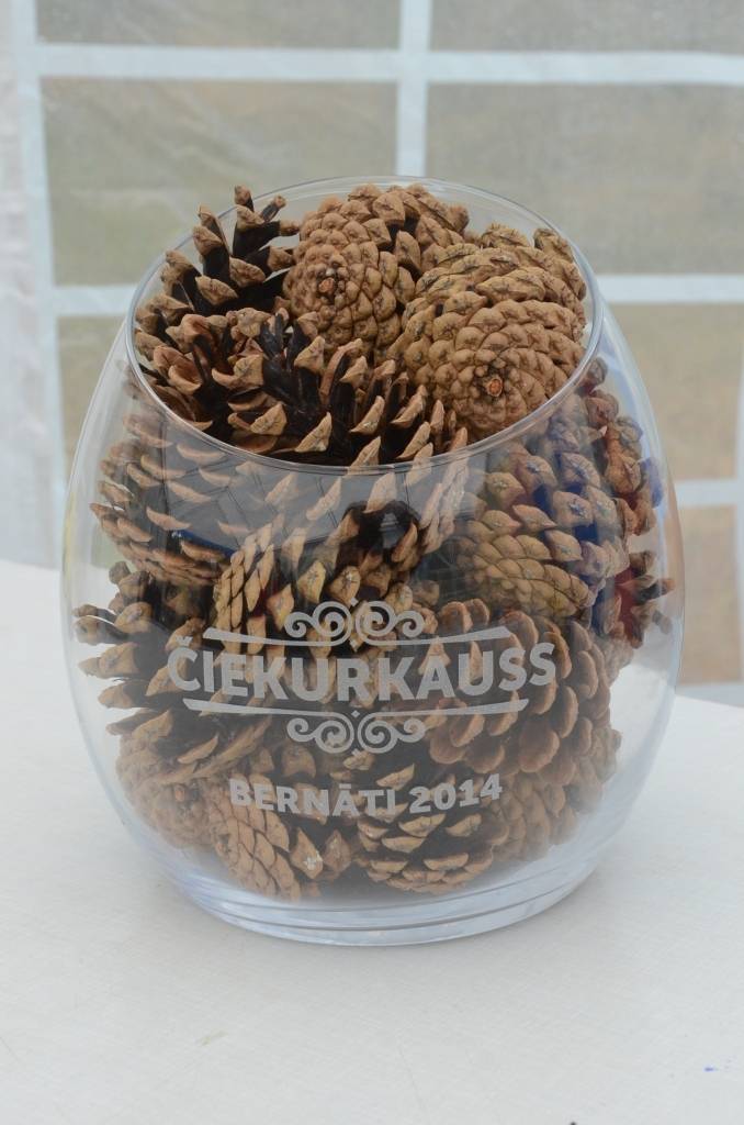 Bernātos sestdien cīnīsies par "Čiekurkausu"