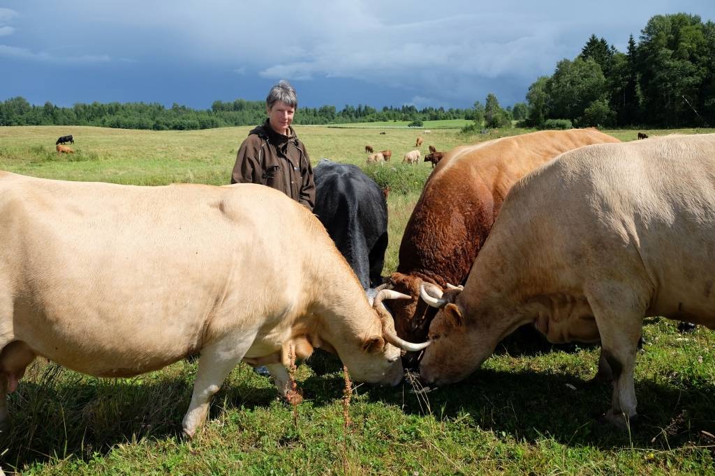 Lauku bizness: iespēja Latvijai izcelties Eiropas tirgū