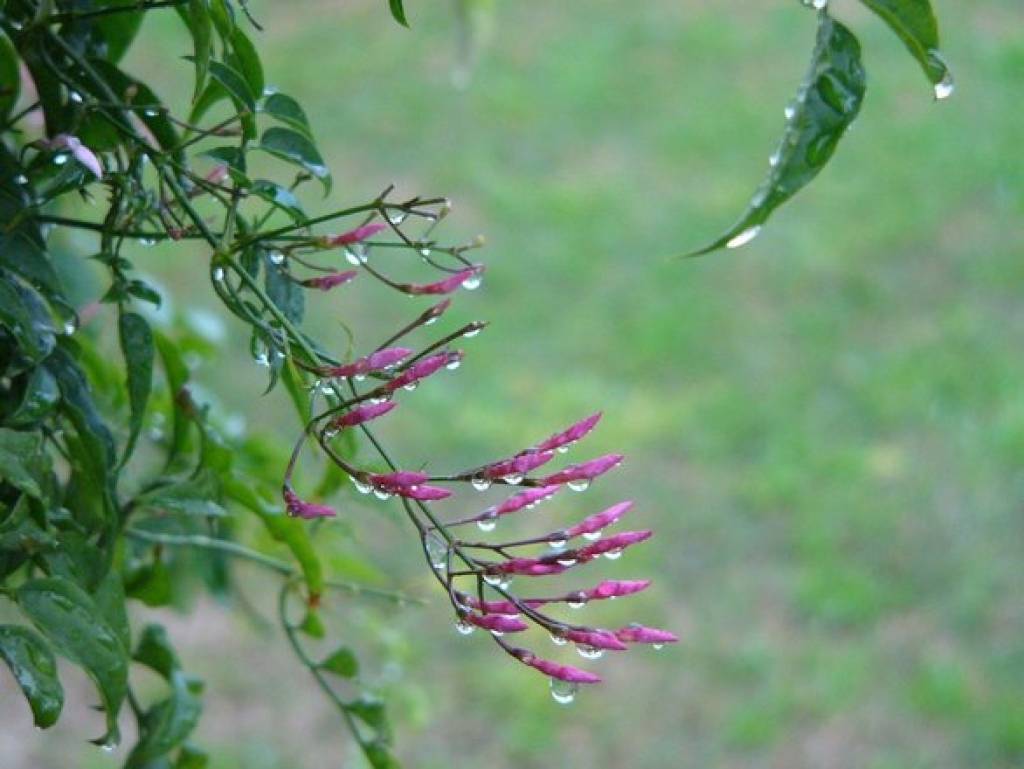 Augusts akcijām nav pats veiksmīgākais mēnesis 