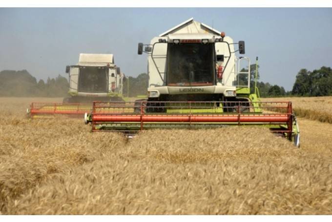 Sākas graudu masveida novākšana