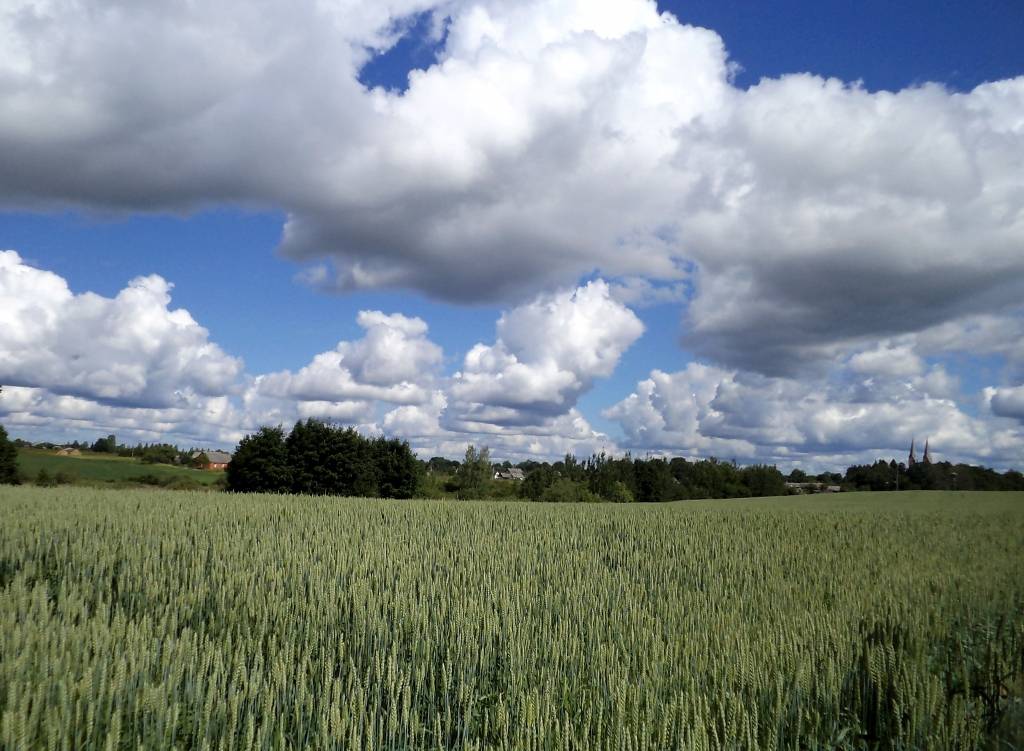 ZSA: Pieaugot nekustamā īpašuma nodoklim, zemniekiem tiks uzlikts jauns ekonomiskais slogs