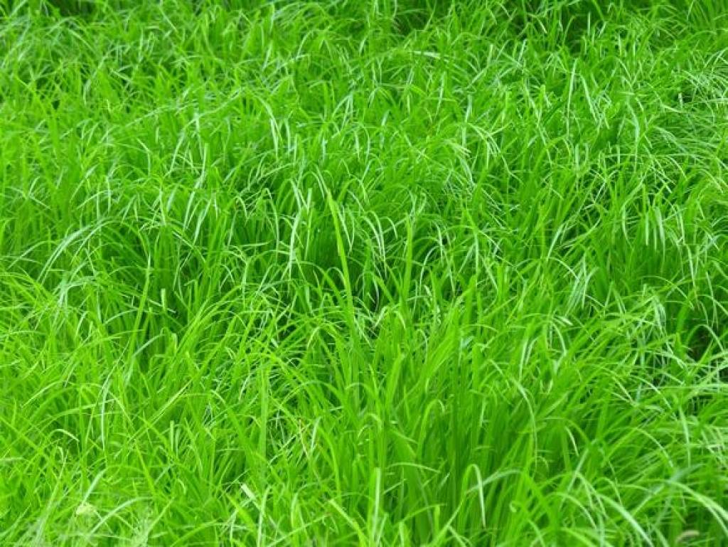 Metrum aktīvi darbojas jaunā profilā