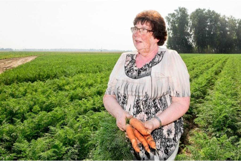 Katram pircējam bonusā puravs