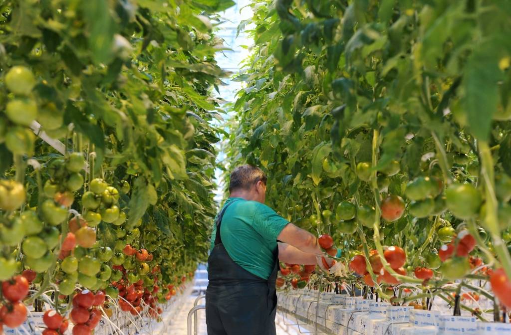 EM: Minimālās algas pieaugums par 15 eiro nekaitētu tautsaimniecībai, tomēr efektīvāk būtu celt neapliekamo minimumu