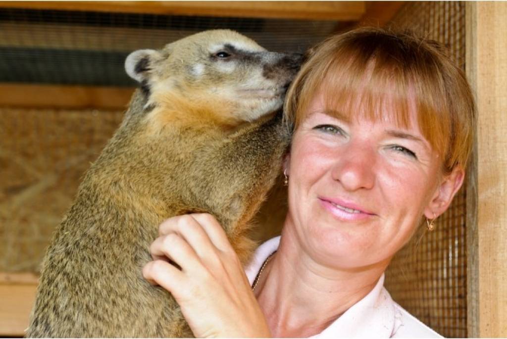 Zoodārza Pie tēvoča Garika saimniekus pārsteidz jaunā īpašuma vēsture