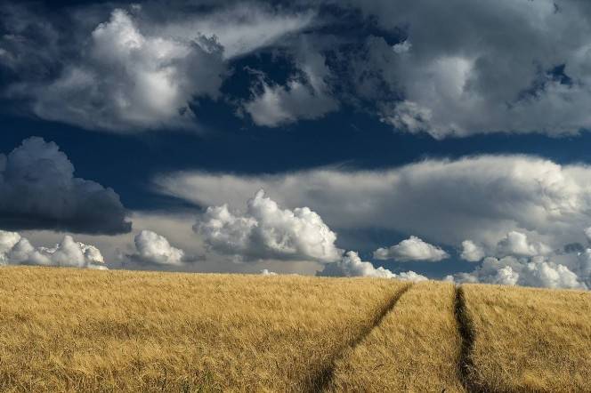 Nākamnedēļ gaisa temperatūra reti pārsniegs plus 20, plus 22 grādu atzīmi