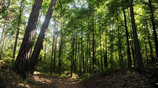 Gaidāms spēcīgs sausums; šonedēļ arī rudens salnas