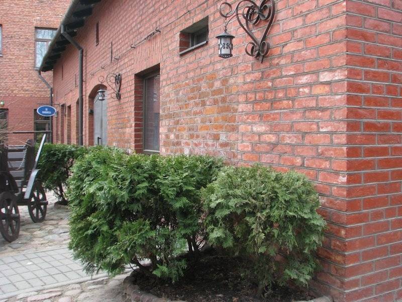 Liepājas uzņēmums "Elektrons&K" pērn nopelnījis 195 004 eiro