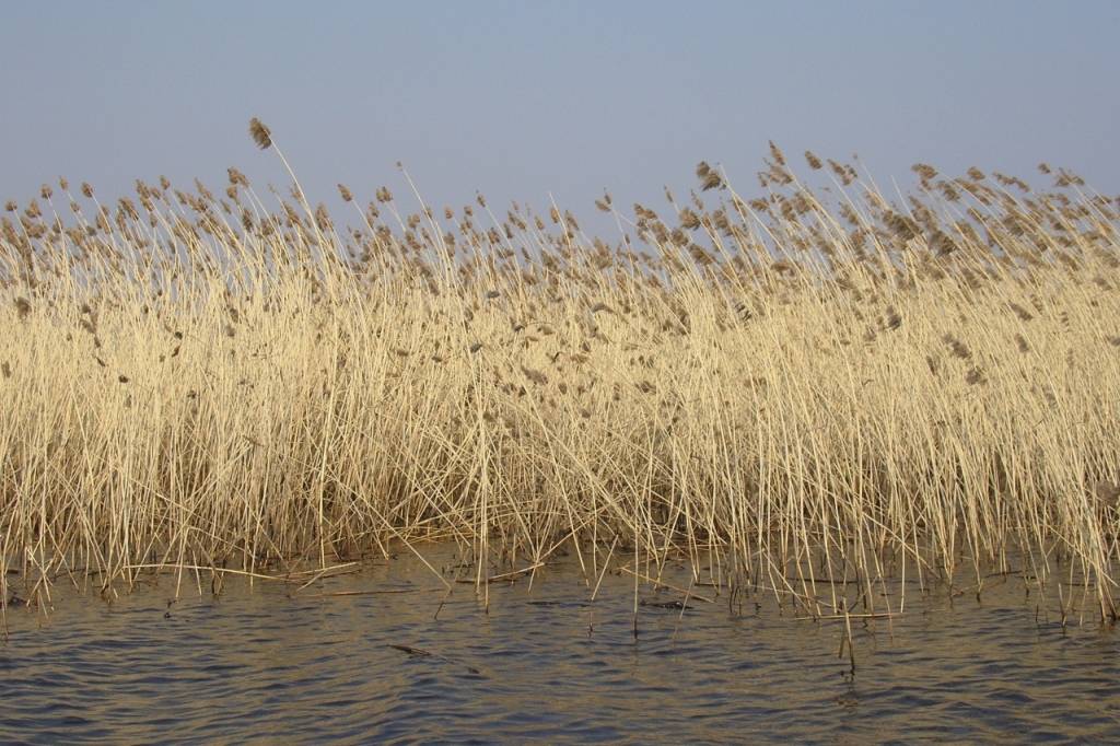 Pasaules Dabas fonds atvainojas iedzīvotājiem