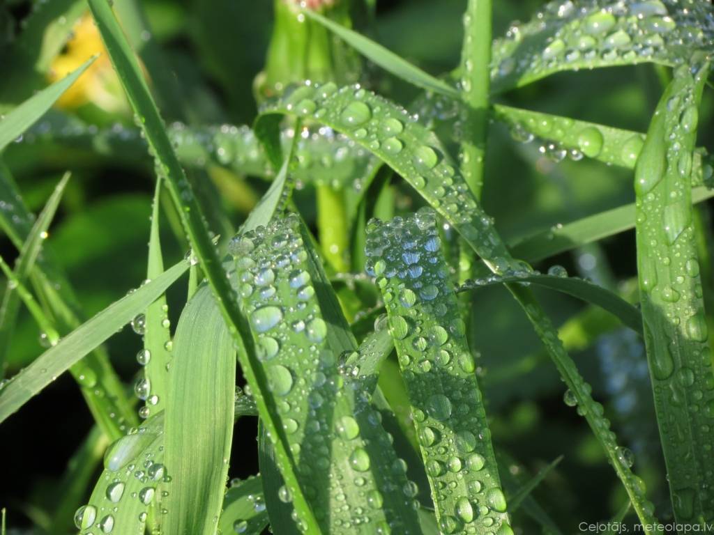 Trešdien būs par 8-10 grādiem vēsāks, nekā otrdien; lietus Latviju pametīs