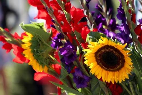 Zinību dienu sola siltu