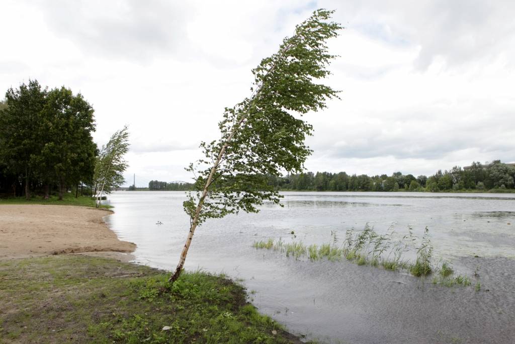 Rīga stieg neveiksmīgās izsolēs  