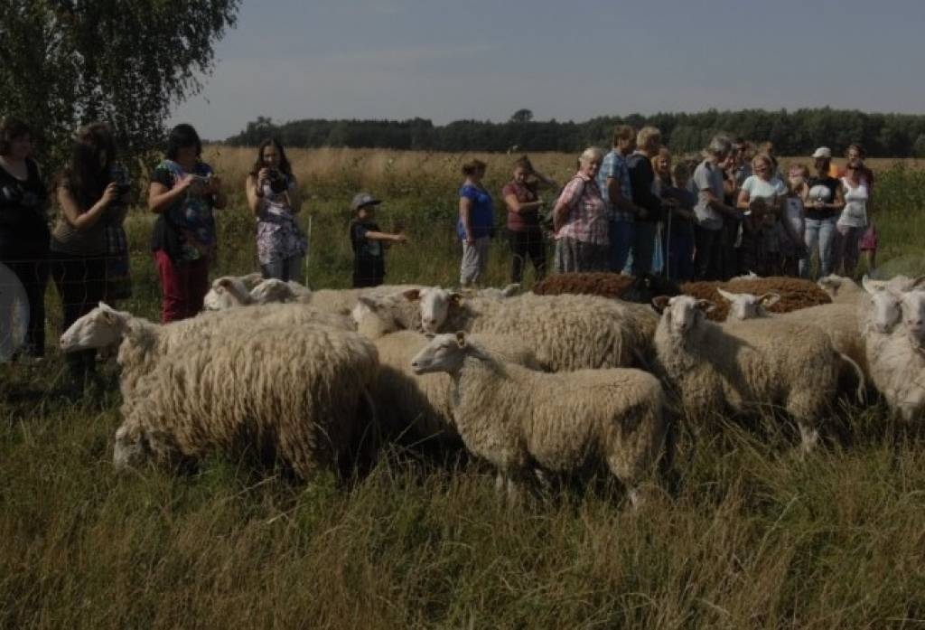 Brunavas piensaimniecībā izmēģina Lietuvā pārbaudītu biznesa virzienu