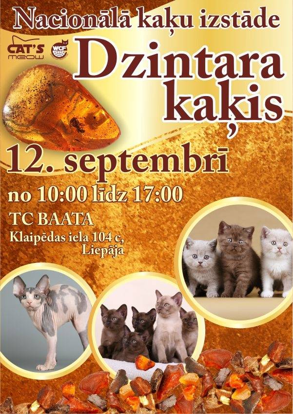 Liepājā notiks kaķu izstāde