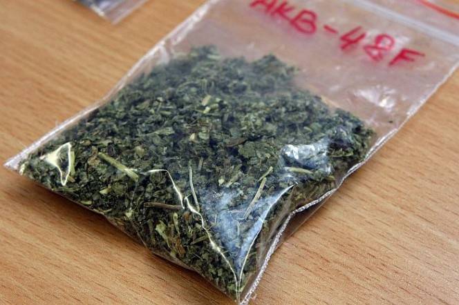 Pieķer dzērumā un ar augu maisījumu