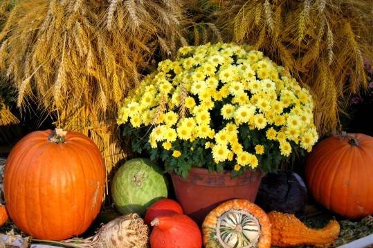 (papildināta) Aicina uz Lielo Miķeļdienas gadatirgu