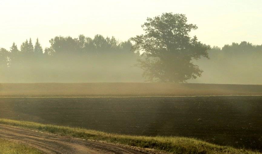 Brīvdienās būs sauss un silts laiks