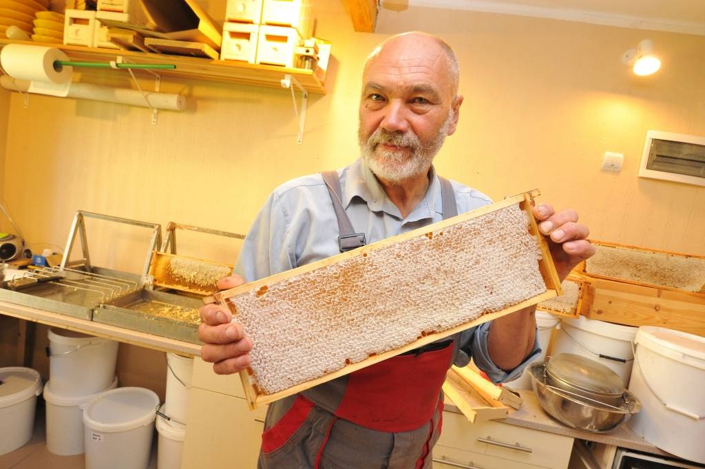 Medus trīs litru burkās ir vēsture