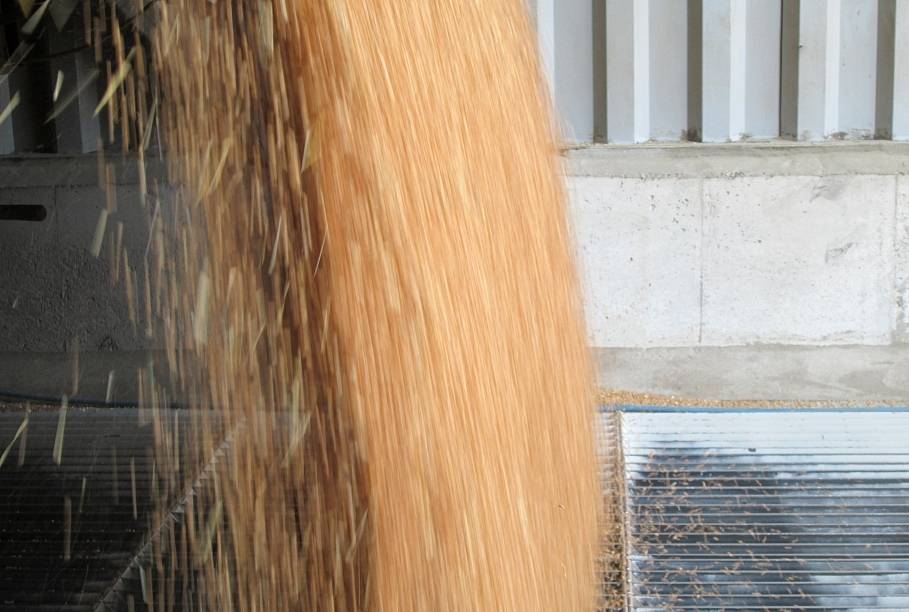 ZM: Šogad graudu un rapša ražai gaidāms visu laiku rekords - 2,58 miljoni tonnu