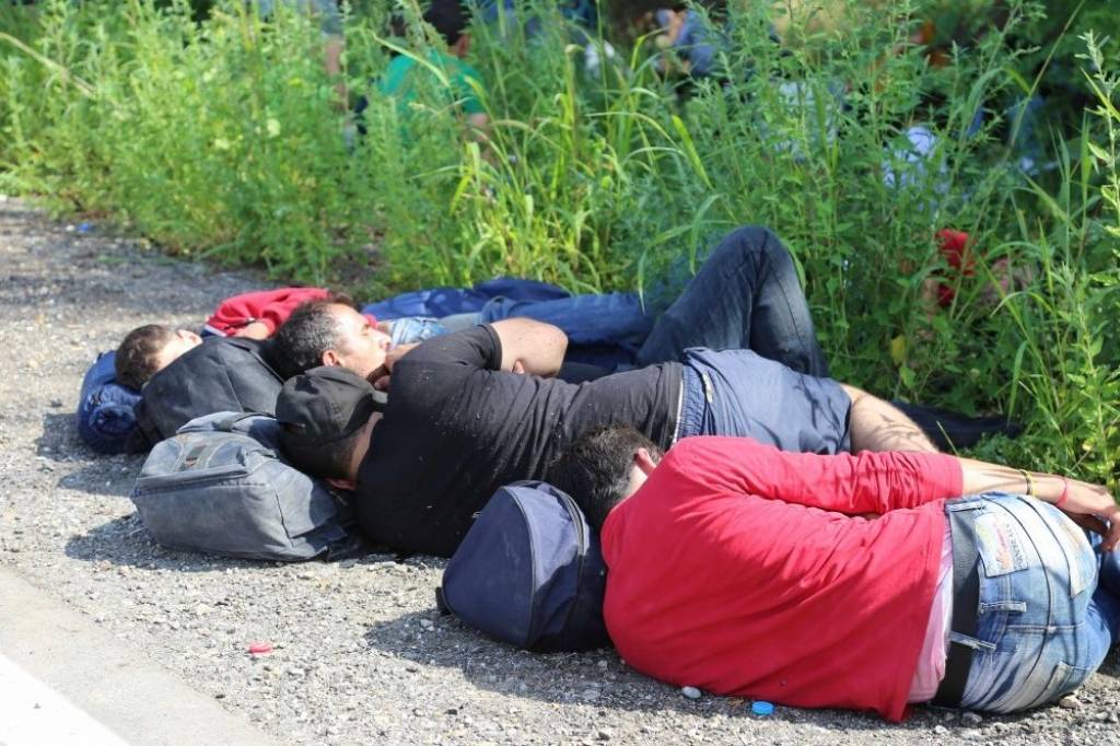 Migrācijas krīzē Eiropa ievāc desmit gadus senu ražu