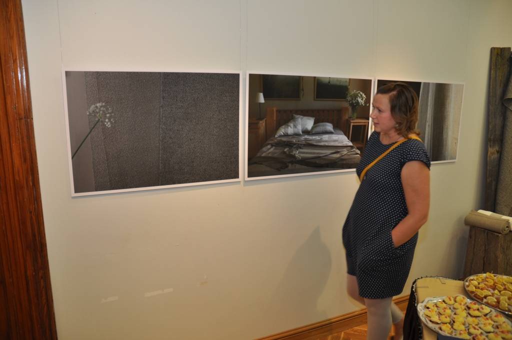 FOTO: Atklāj izstādi "DzDZ"