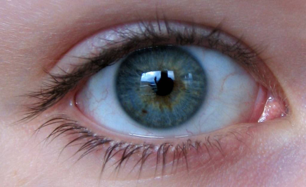 Zinātne citā gaismā