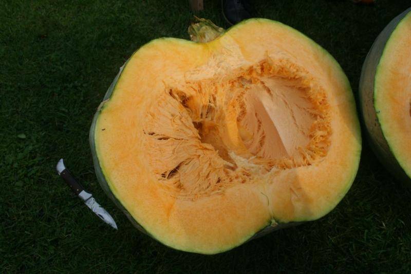 Skolās piedāvās ēst svaigu ķirbi