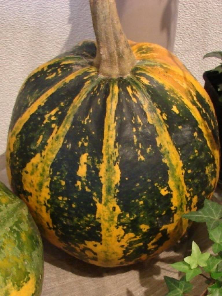 Skolās piedāvās ēst svaigu ķirbi 