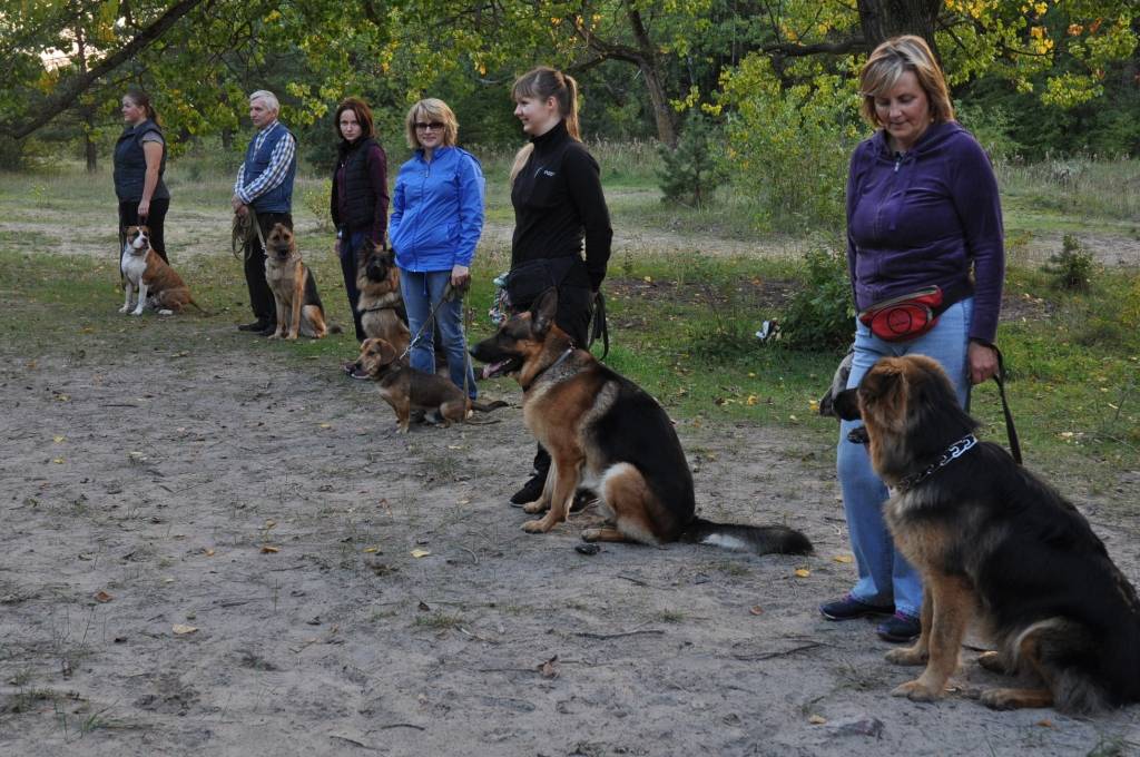 Vispirms jāpamācās suņa saimniekam