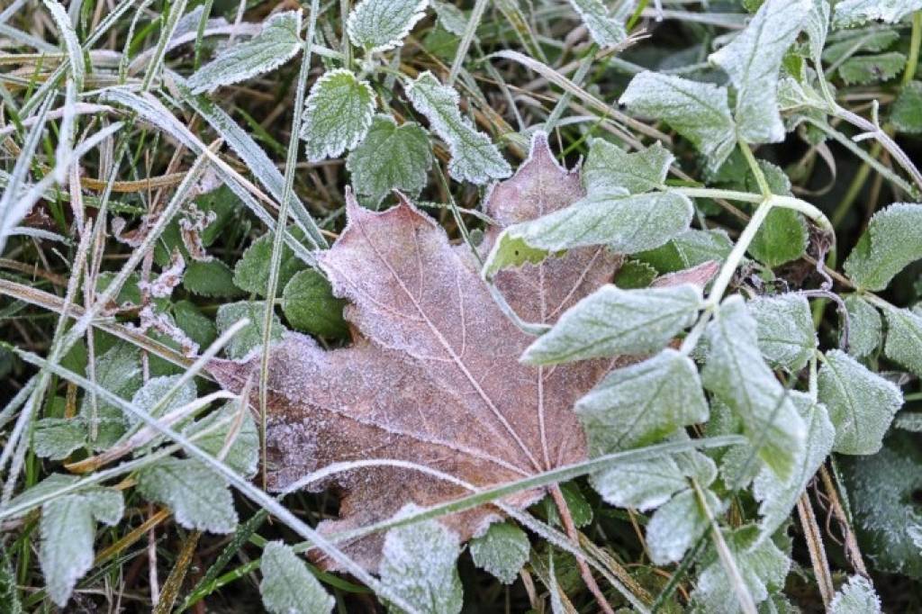 Naktī uz pirmdienu fiksēti trīs aukstuma rekordi